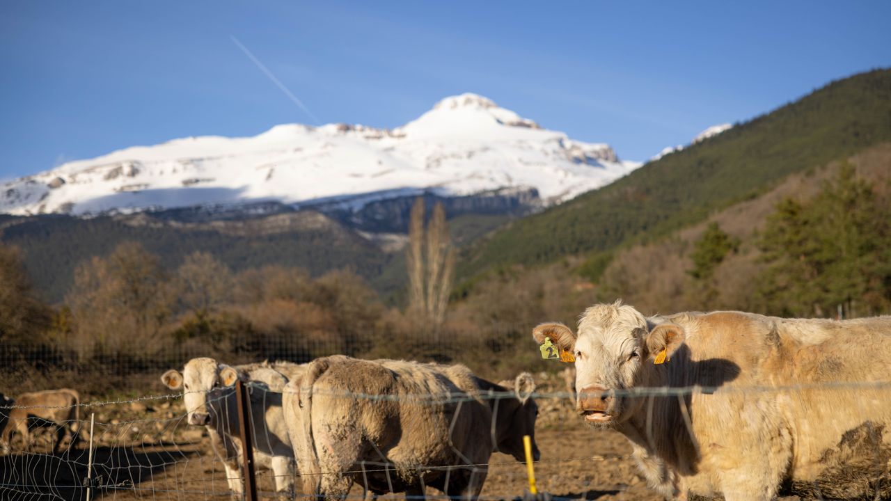 From Farm to Table in Upper Aragon: Discovering Its Carefully Crafted Agrifood Offering