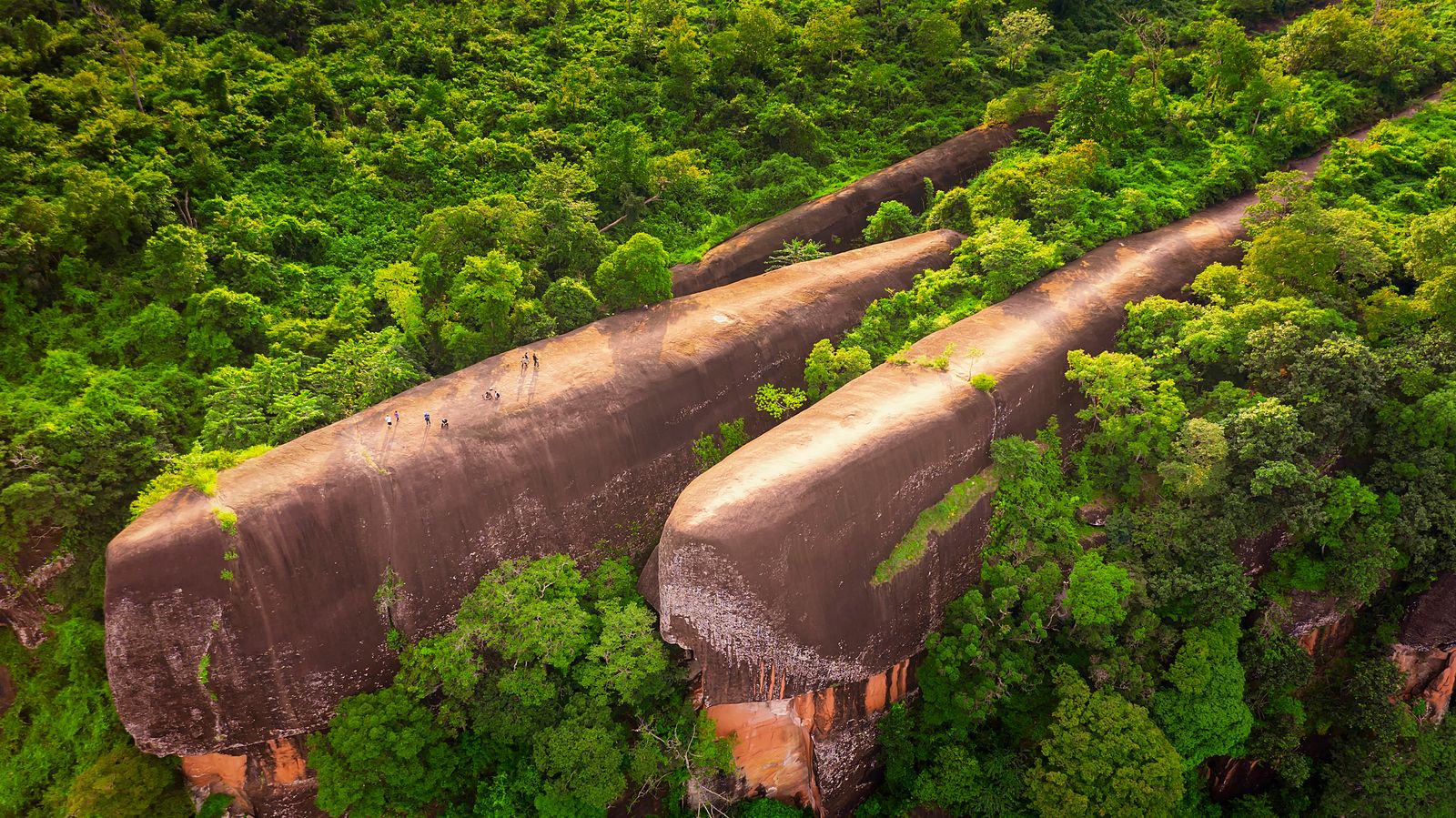 High angle view from unmanned aircraft.  Popular tourist attraction. Three whale stones. Bird eye view shot of three whales rock in Phu Sing Country park in Bungkarn, Thailand.