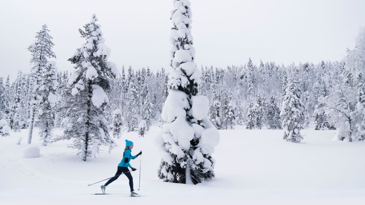 Ylläs: The Other Lapland (Finnish)