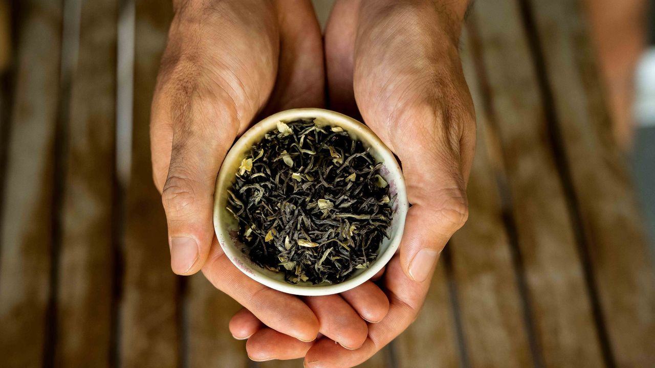 How Tea Is Consumed Now: Discover the New Trend