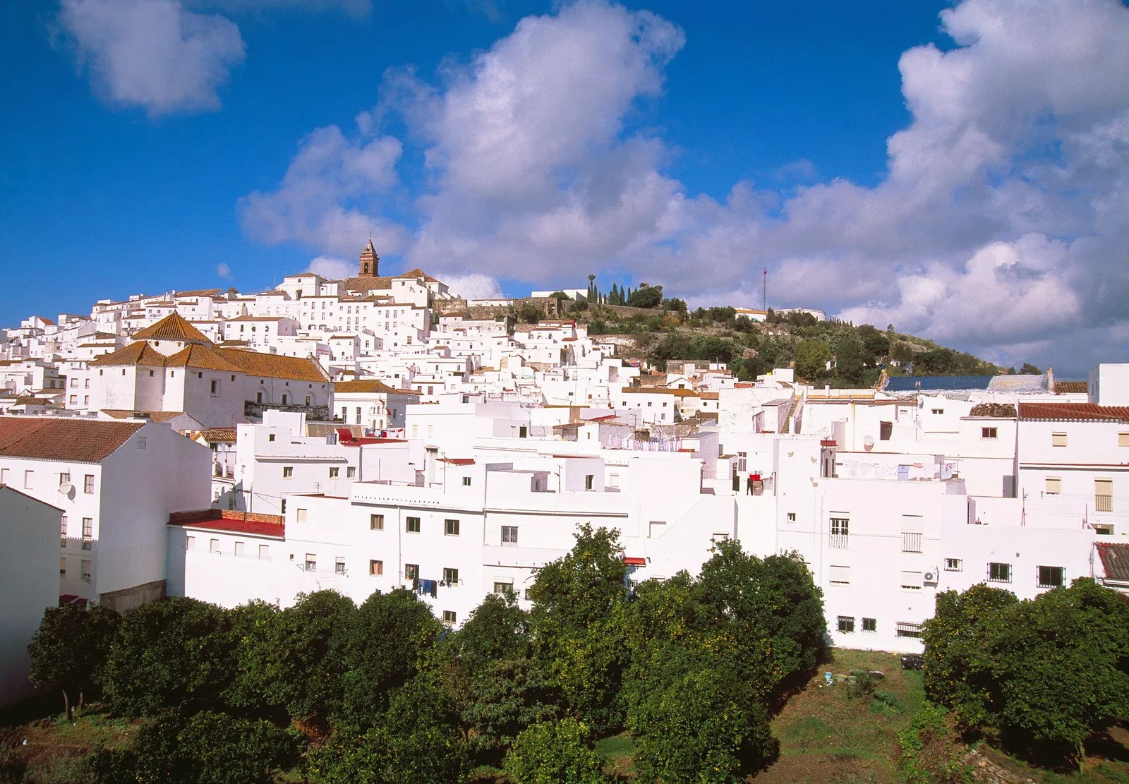 Alcal de los Gazules