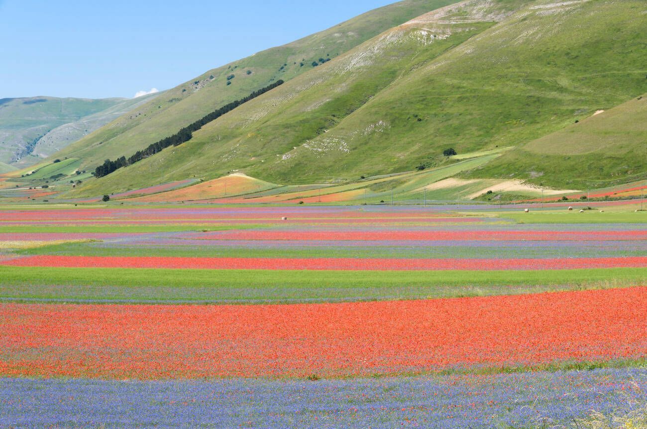 Un espectculo de colores en Castelluccio di Norcia