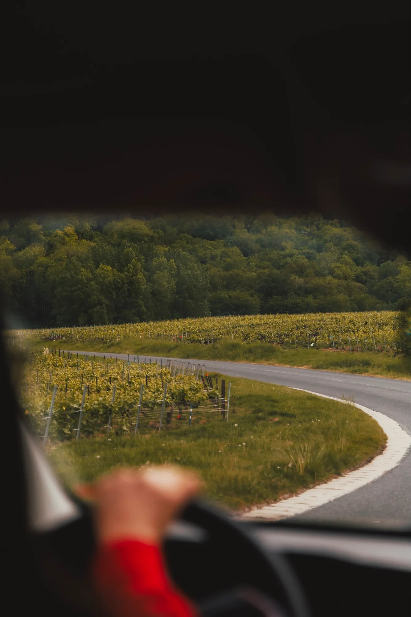 Llegando a Champagne.